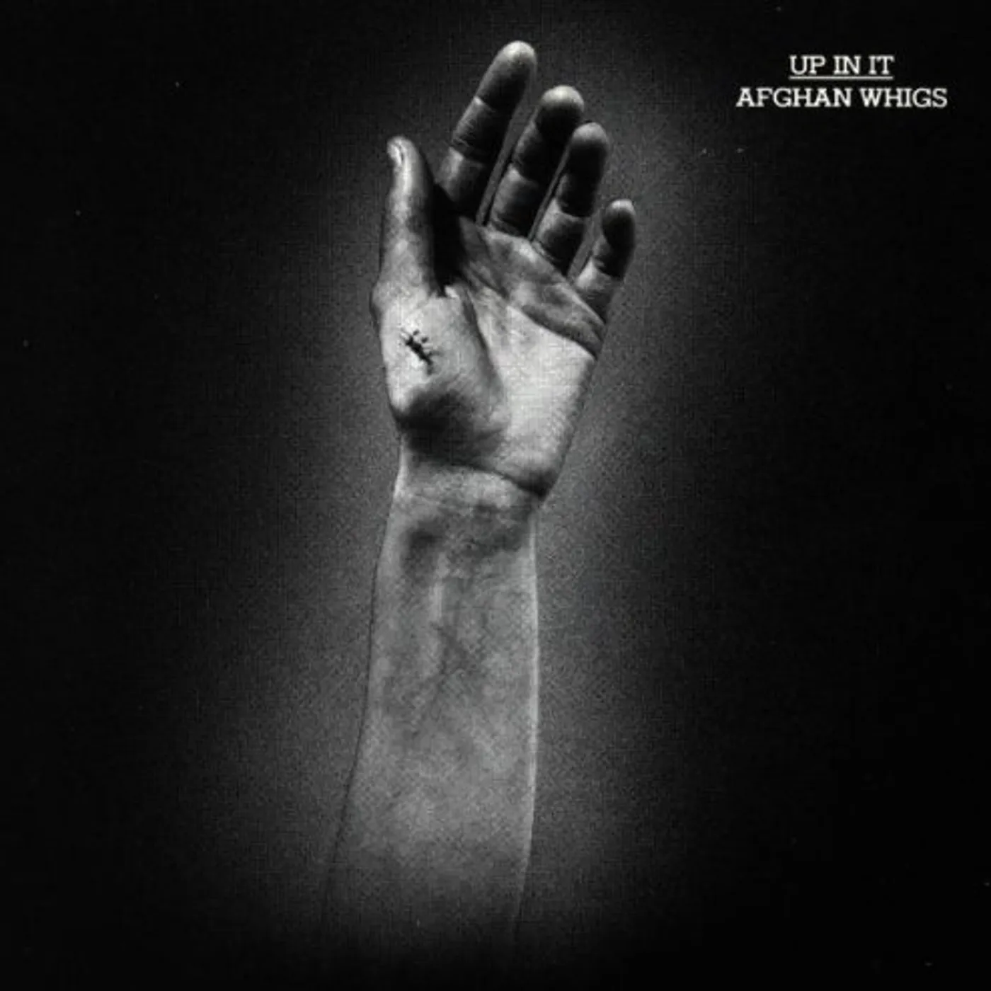 The Afghan Whigs UP IN IT CD