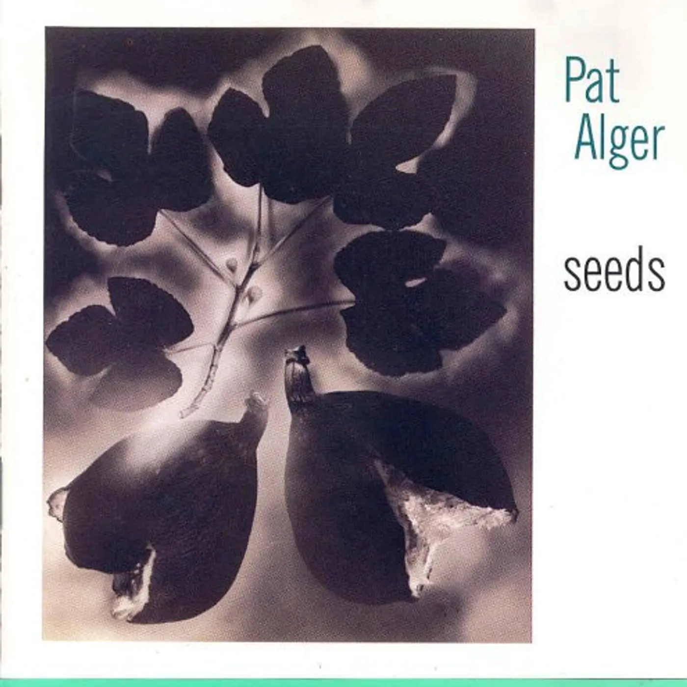 Pat Alger SEEDS CD