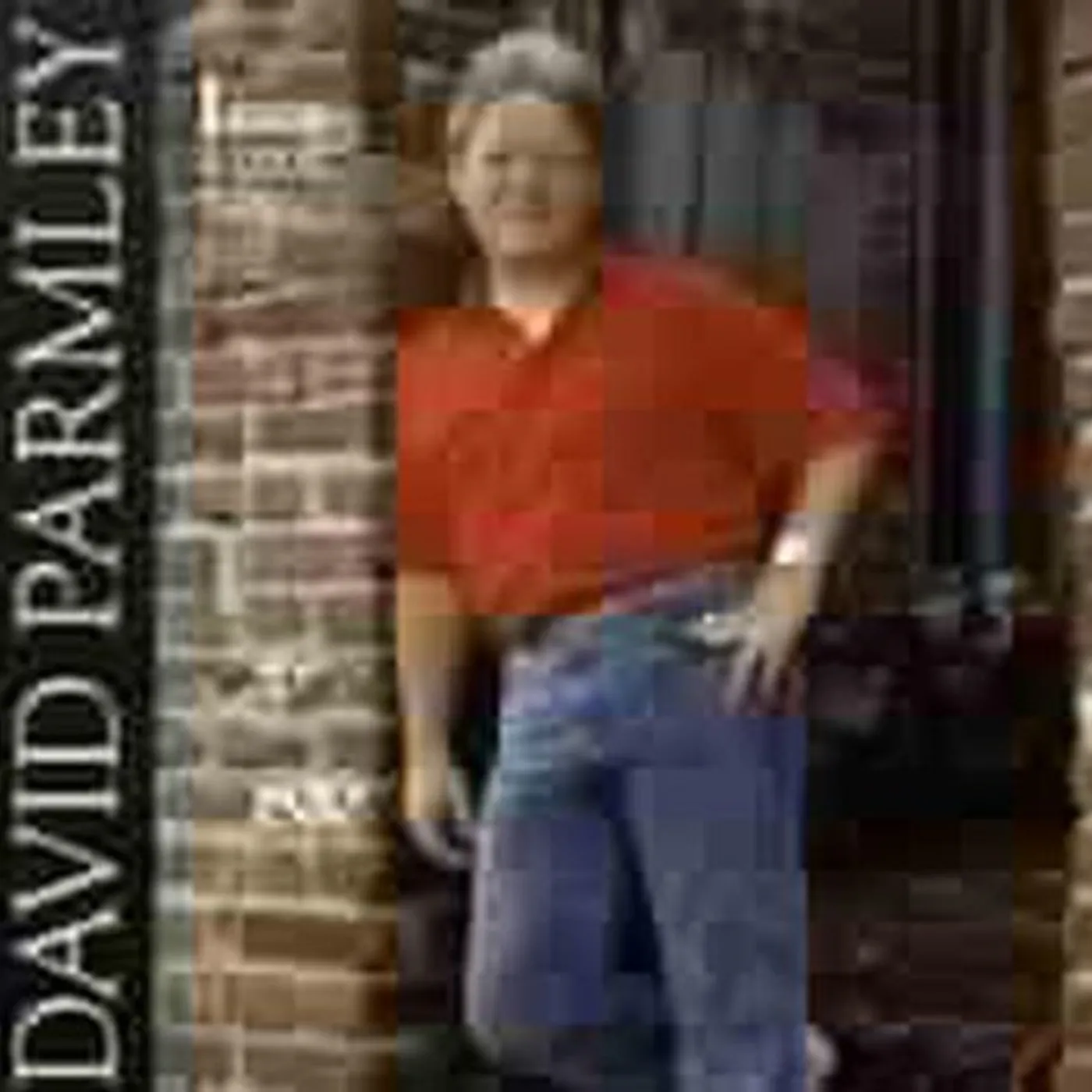 David Parmley I KNOW A GOOD THING CD