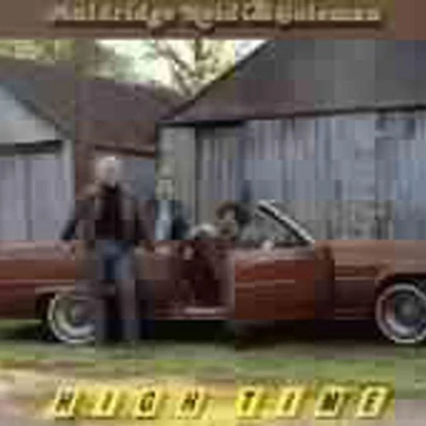 Mike Auldridge HIGH TIME CD