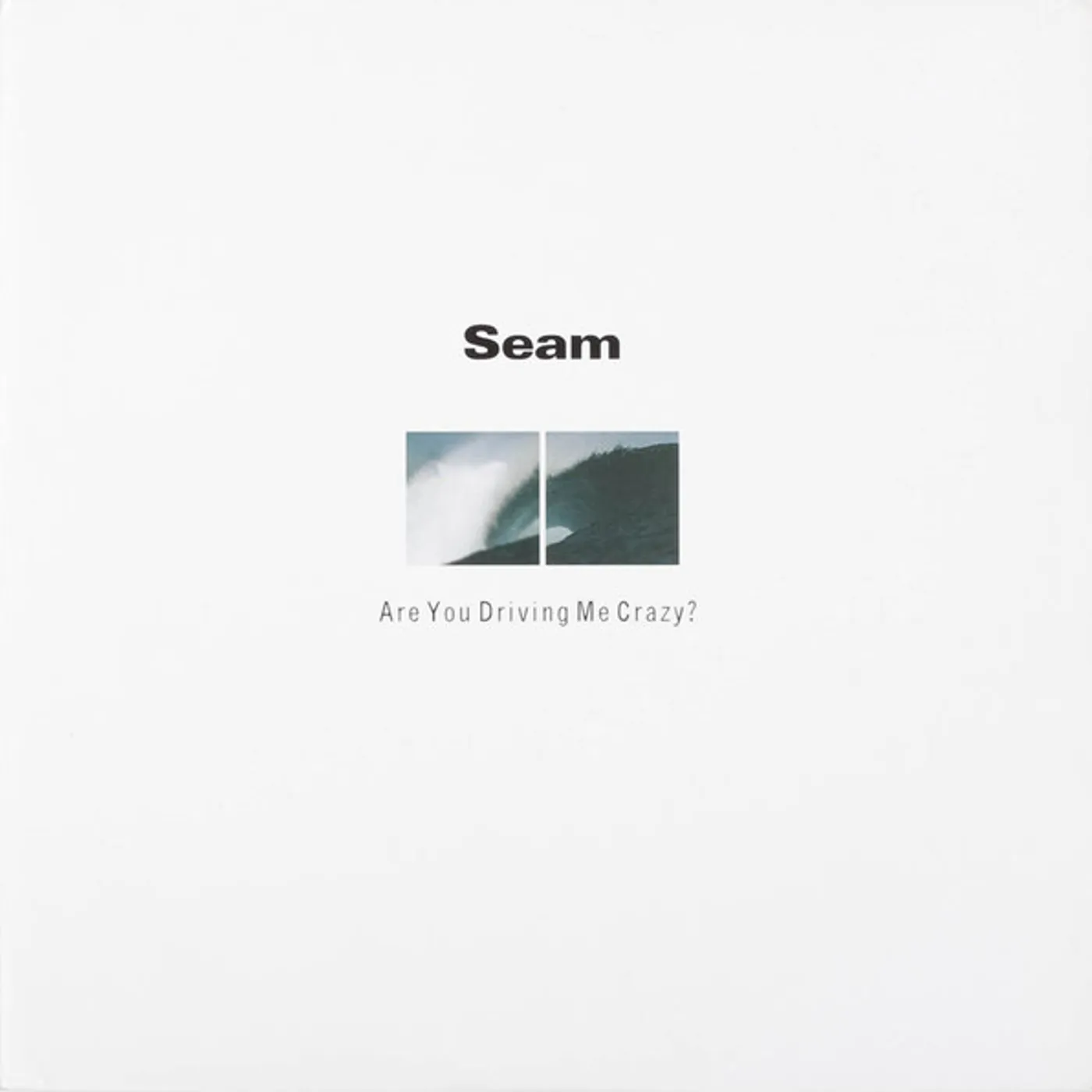 Seam ARE YOU DRIVING ME CRAZY Vinyl Record