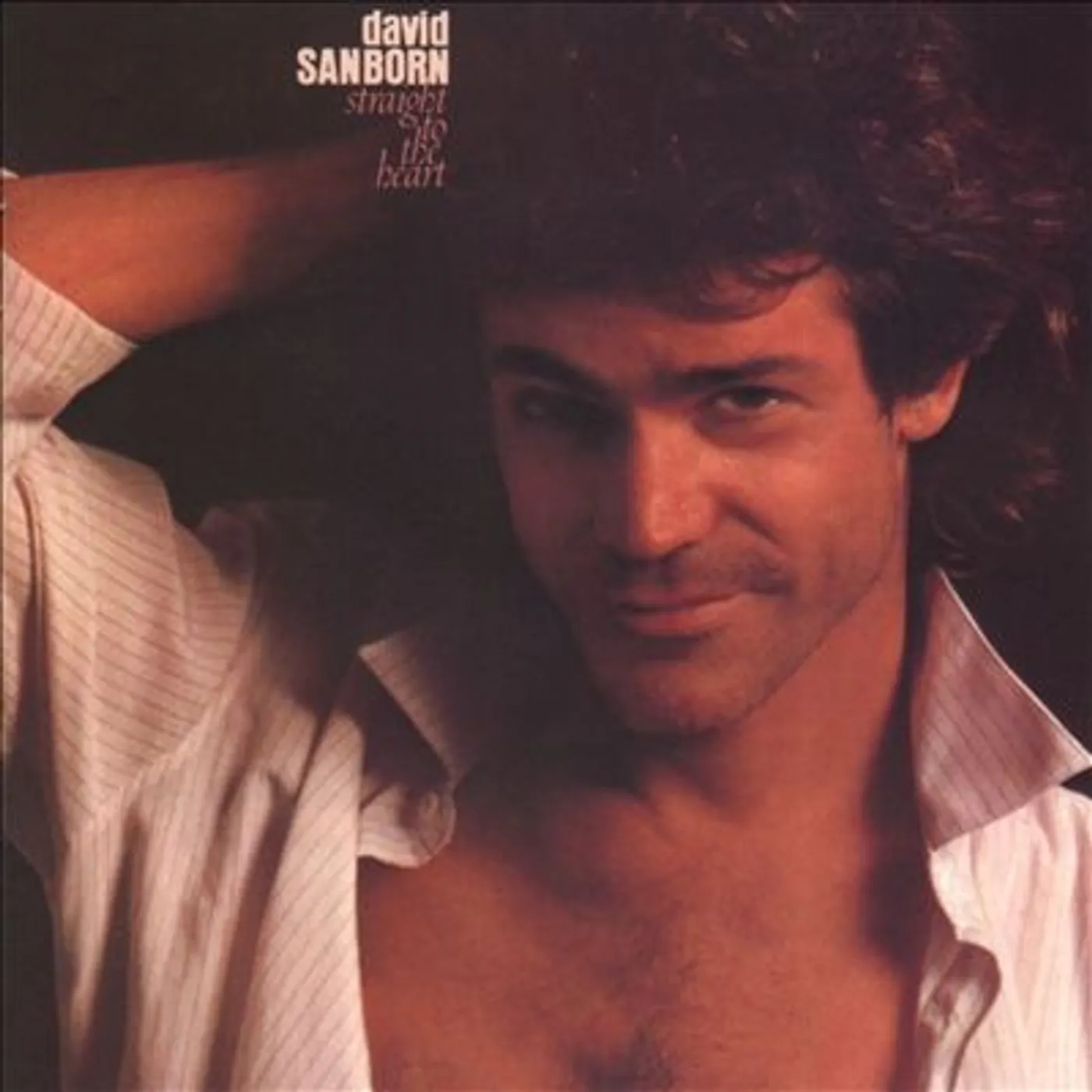 David Sanborn STRAIGHT TO THE HEART CD
