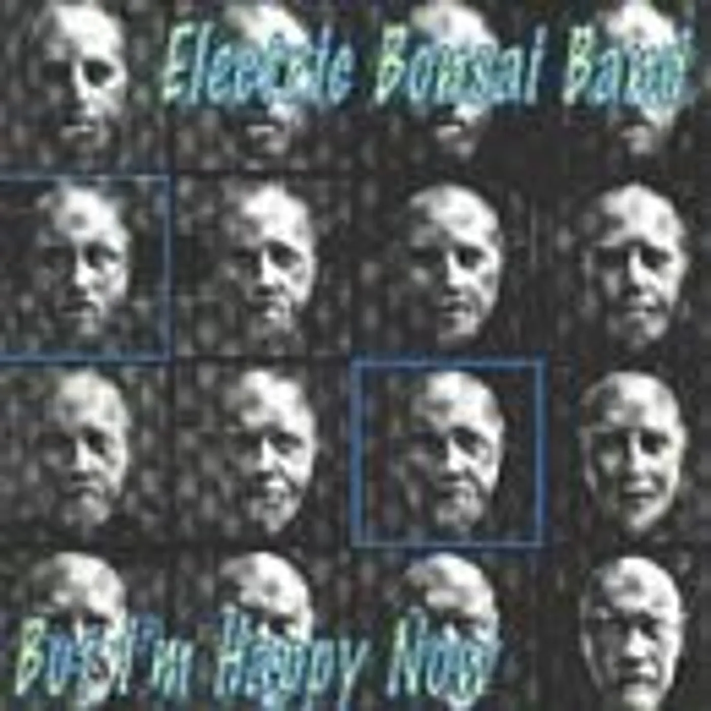 Electric Bonsai Band BUT I'M HAPPY NOW CD