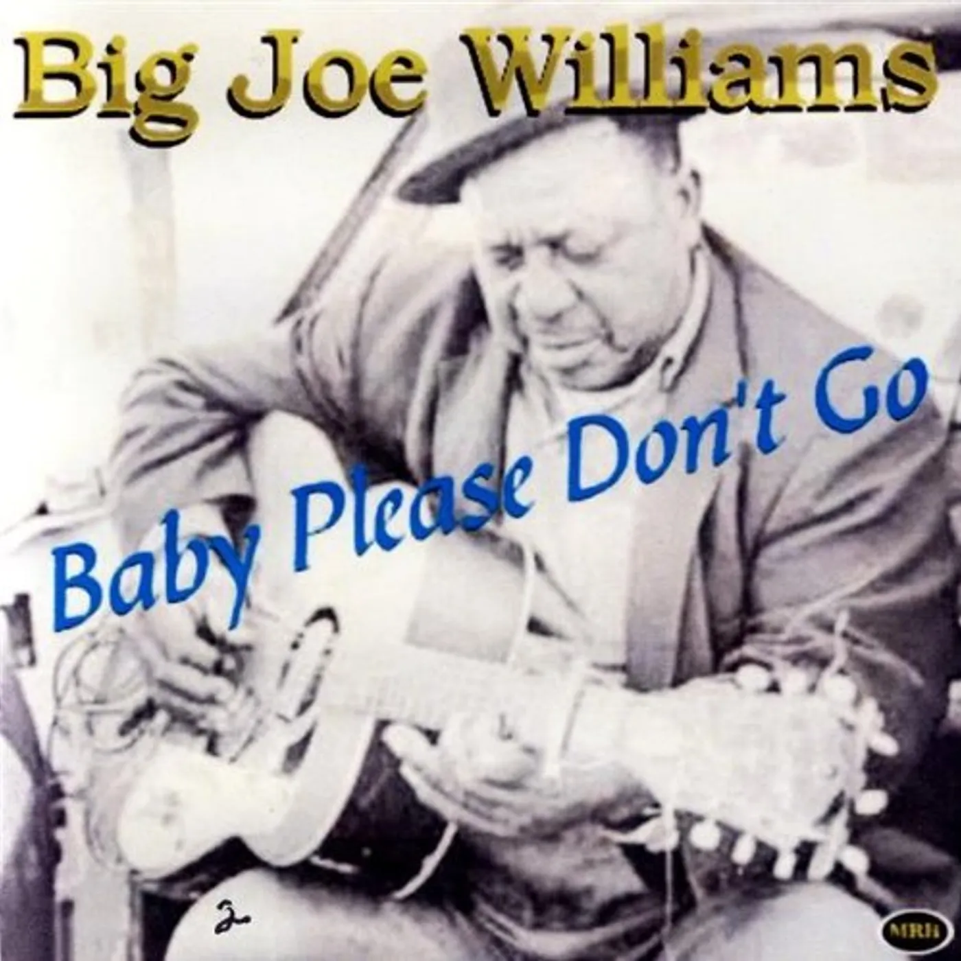 Big Joe Williams BABY PLEASE DON'T GO CD