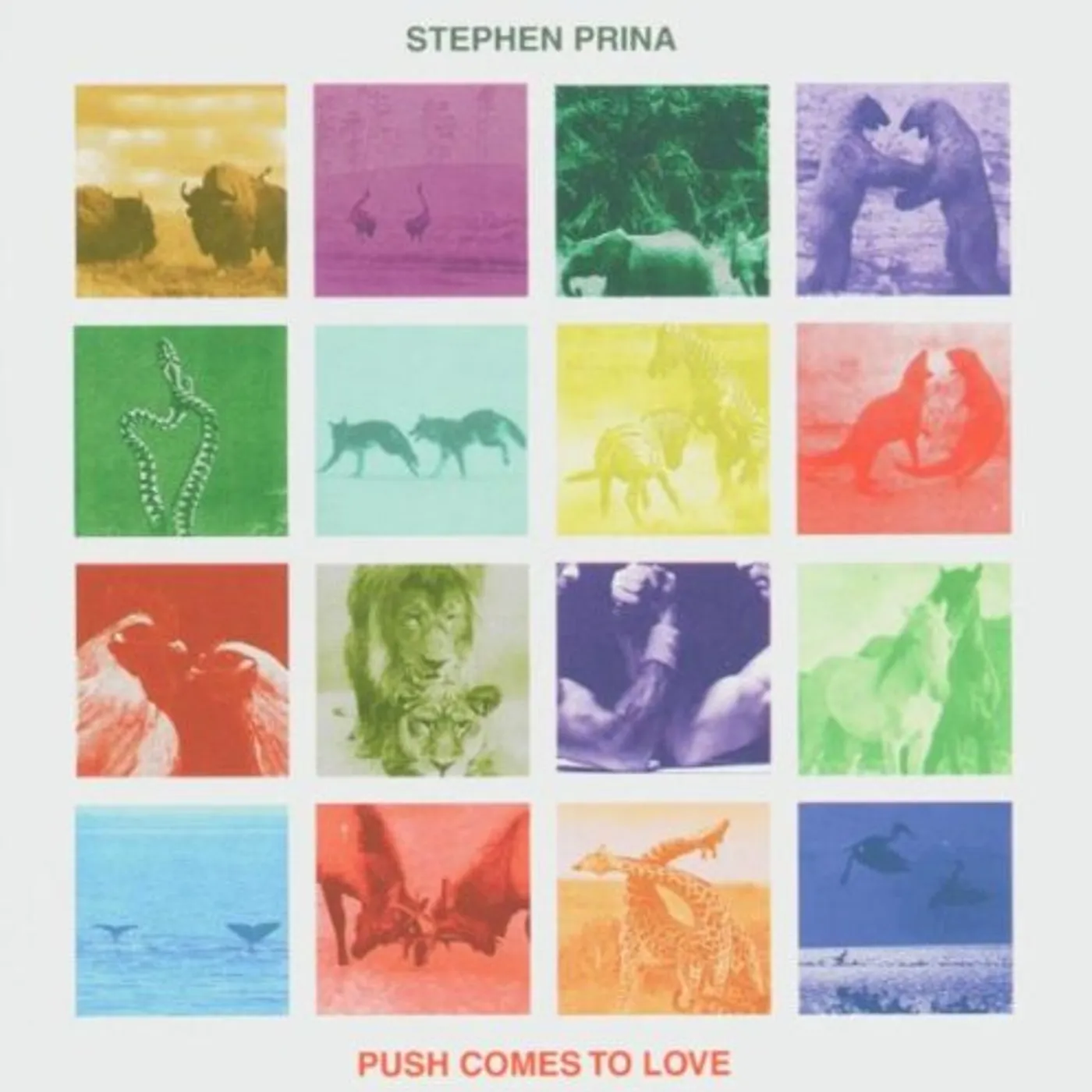 Stephen Prina PUSH COMES TO LOVE CD