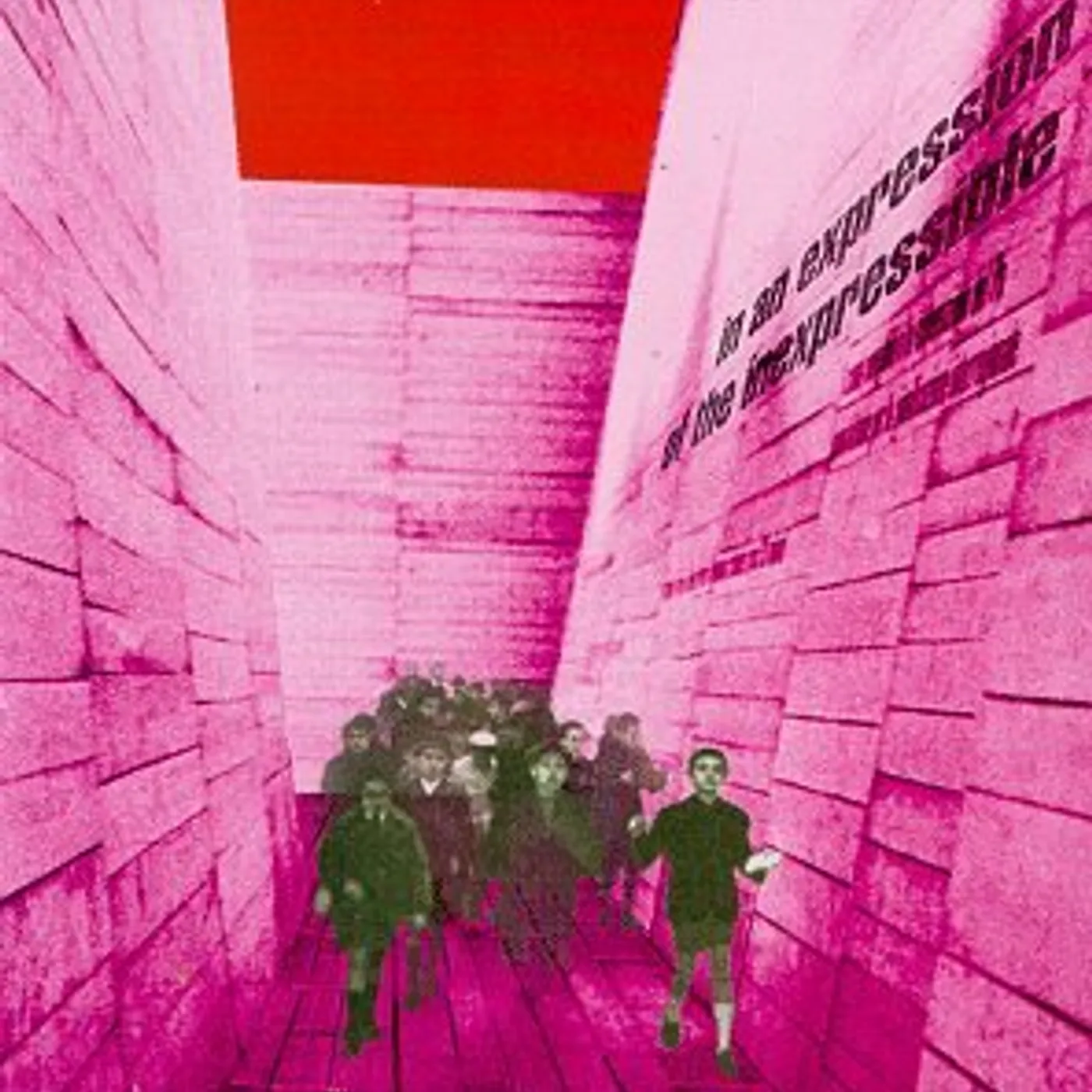 Blonde Redhead IN AN EXPRESSION OF THE INEXPRESSIBLE CD