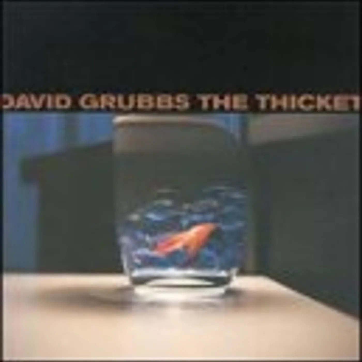 David Grubbs & Taku Unami THICKET CD