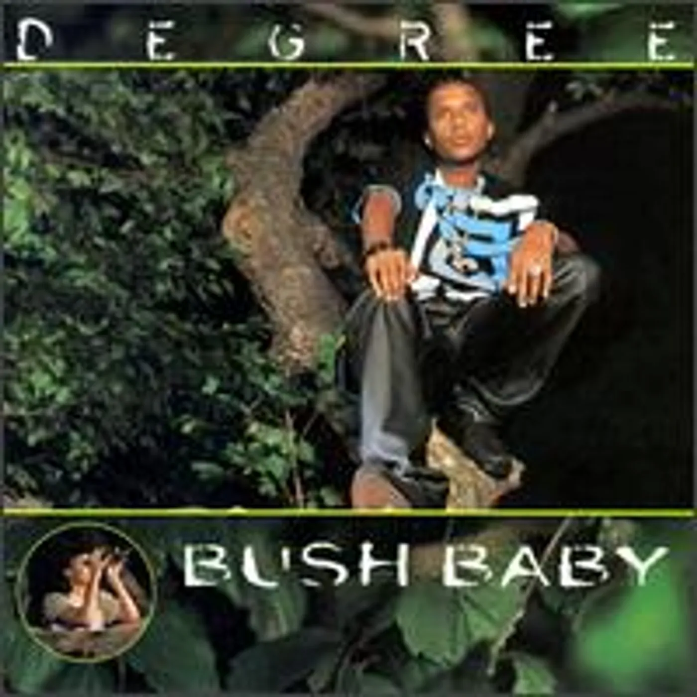 Degree BUSH BABY Vinyl Record