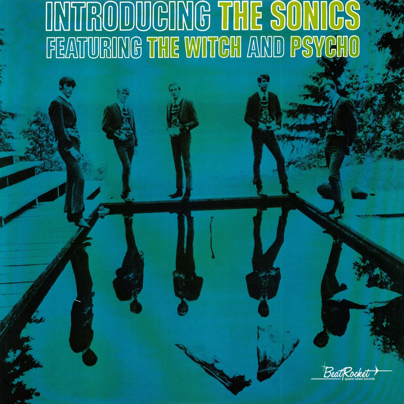 Introducing The Sonics Vinyl Record