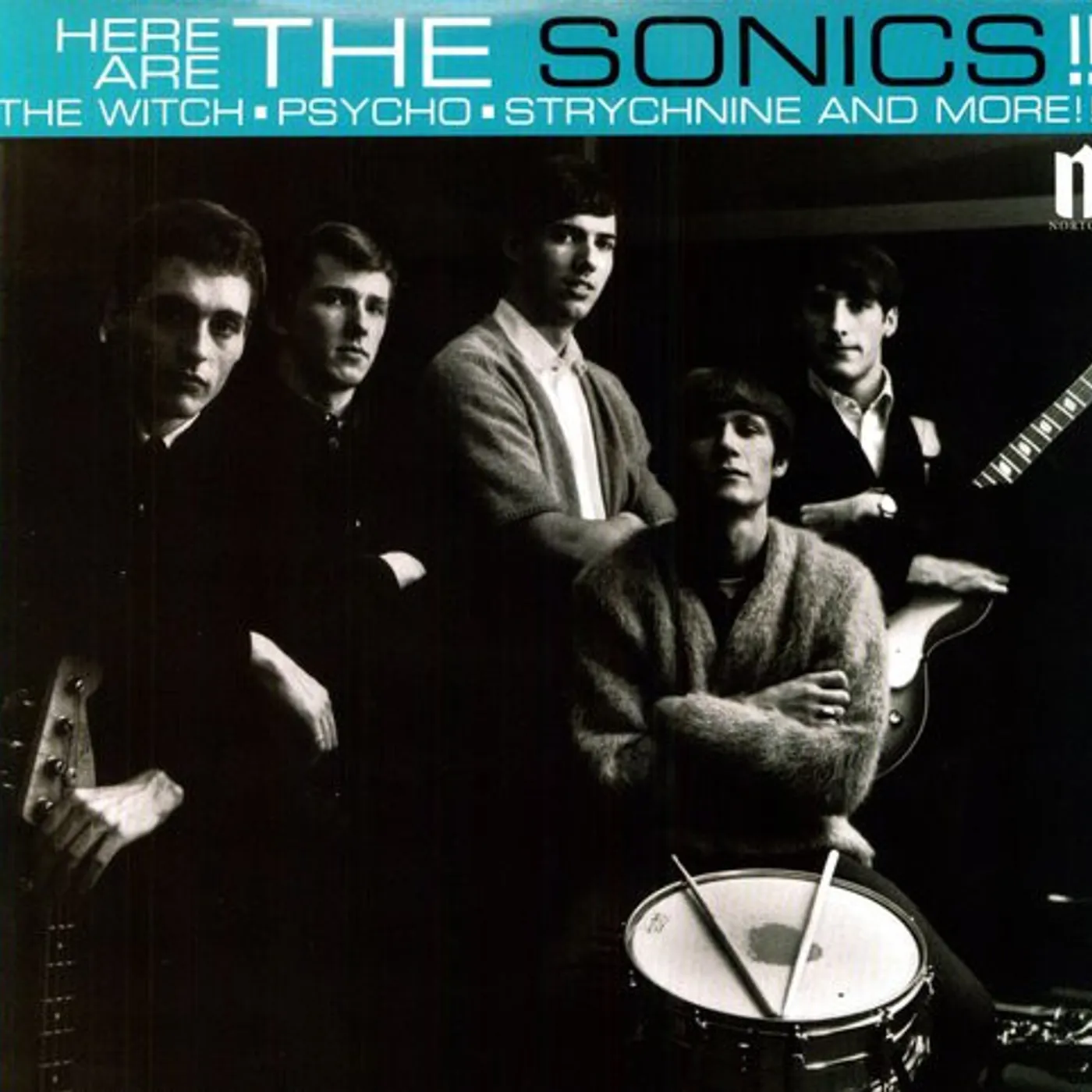 HERE ARE THE SONICS Vinyl Record