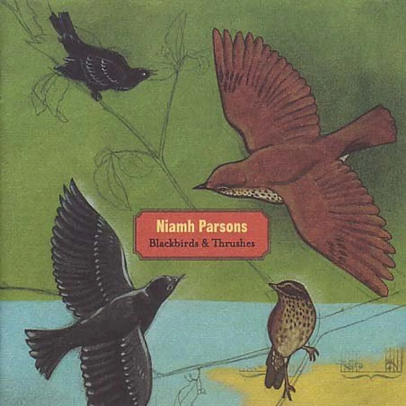Niamh Parsons BLACKBIRDS & THRUSHES CD