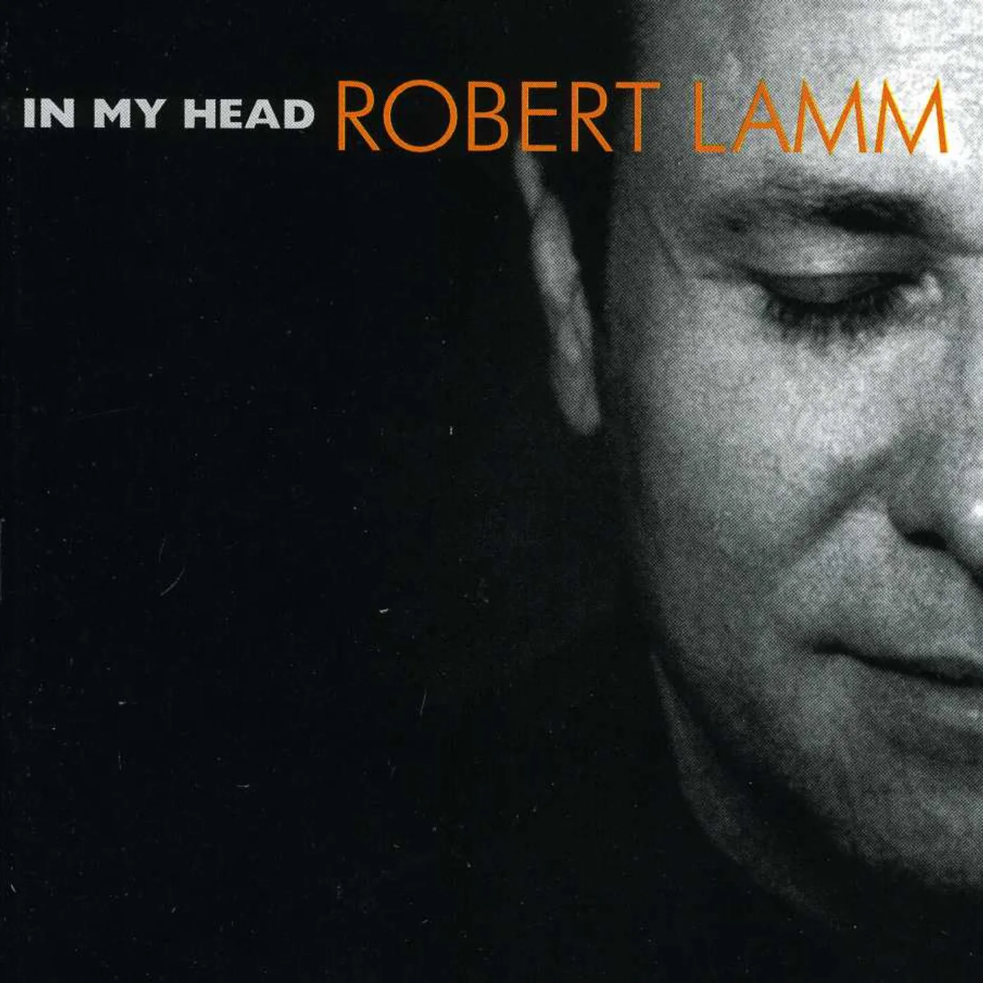 Robert Lamm IN MY HEAD CD