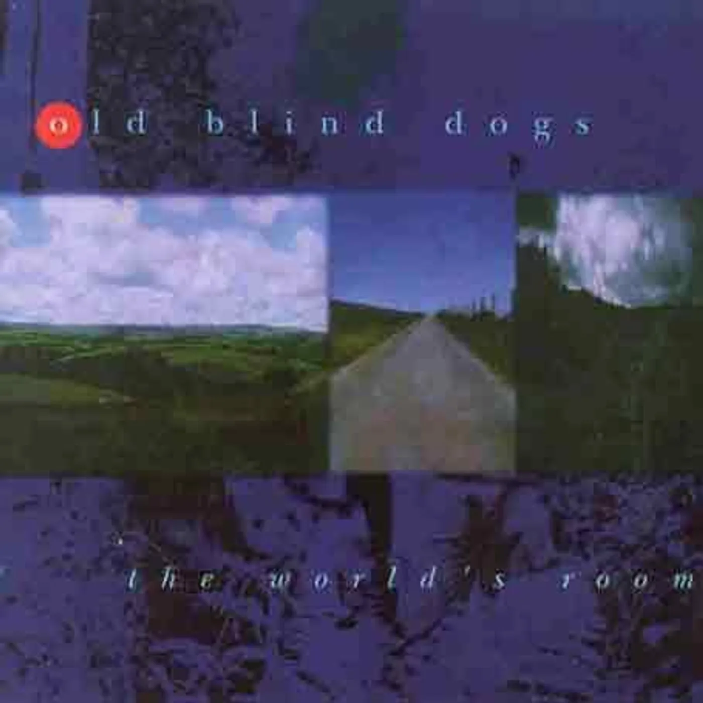 Old Blind Dogs WORLD'S ROOM CD