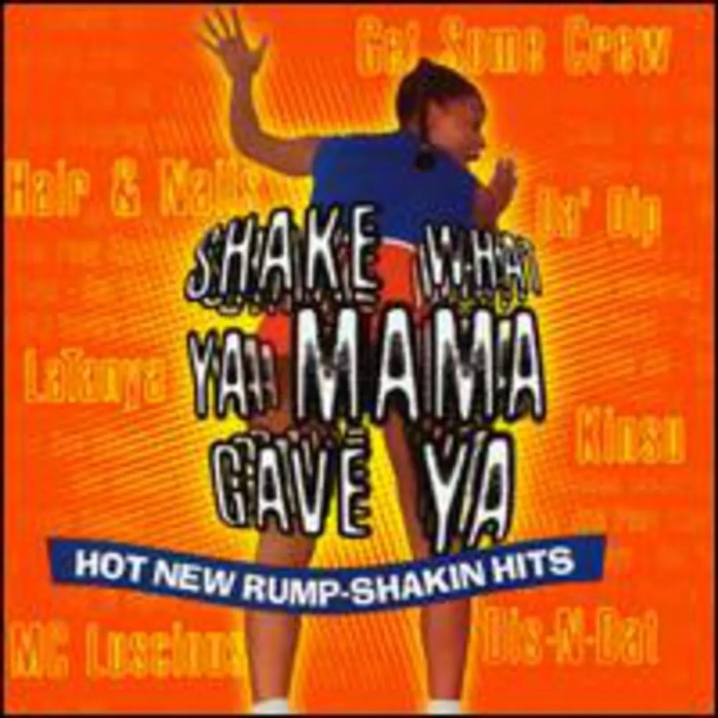Various Artists Shake what your momma gave you Vinyl Record