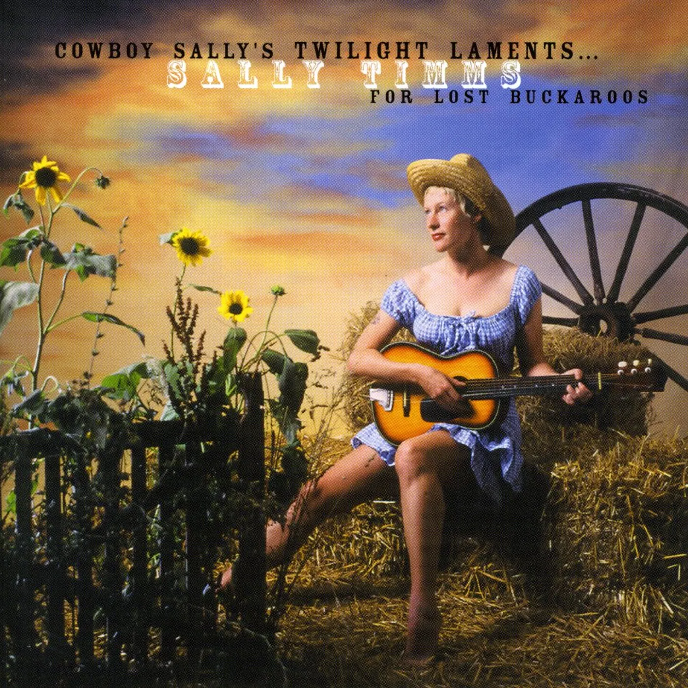 Sally Timms COWBOY SALLY'S TWILIGHT LAMENTS FOR LOST BUCKAROOS CD