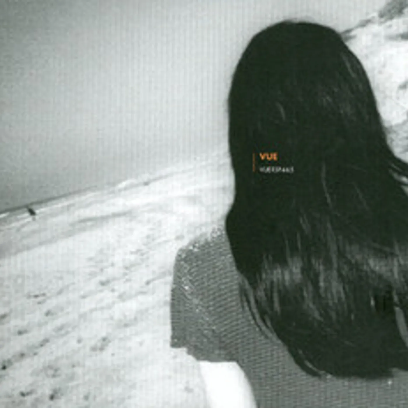 The Vue Vinyl Record