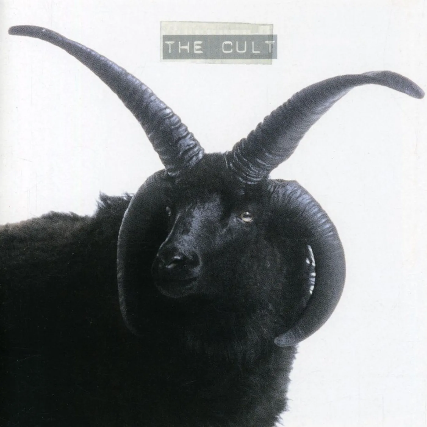 CULT CD
