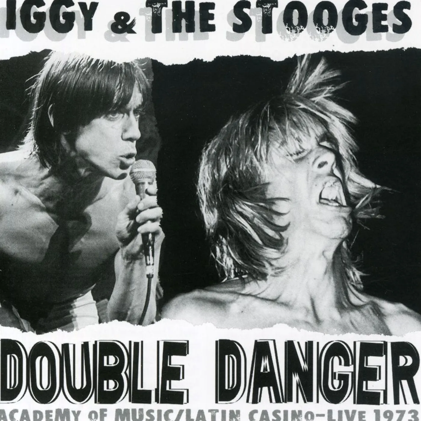Iggy and the Stooges DOUBLE DANGER CD