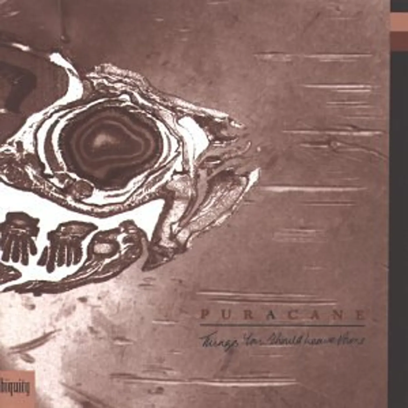Puracane THINGS YOU SHOULD LEAVE ALONE CD