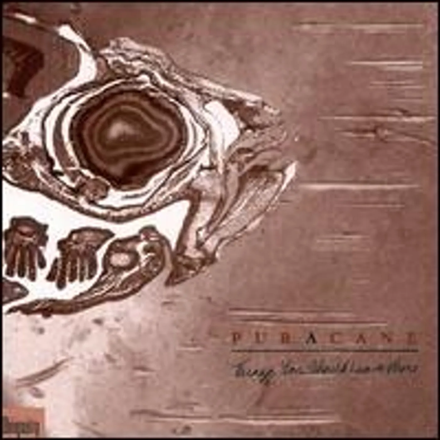 Puracane Things You Should Leave Alone Vinyl Record