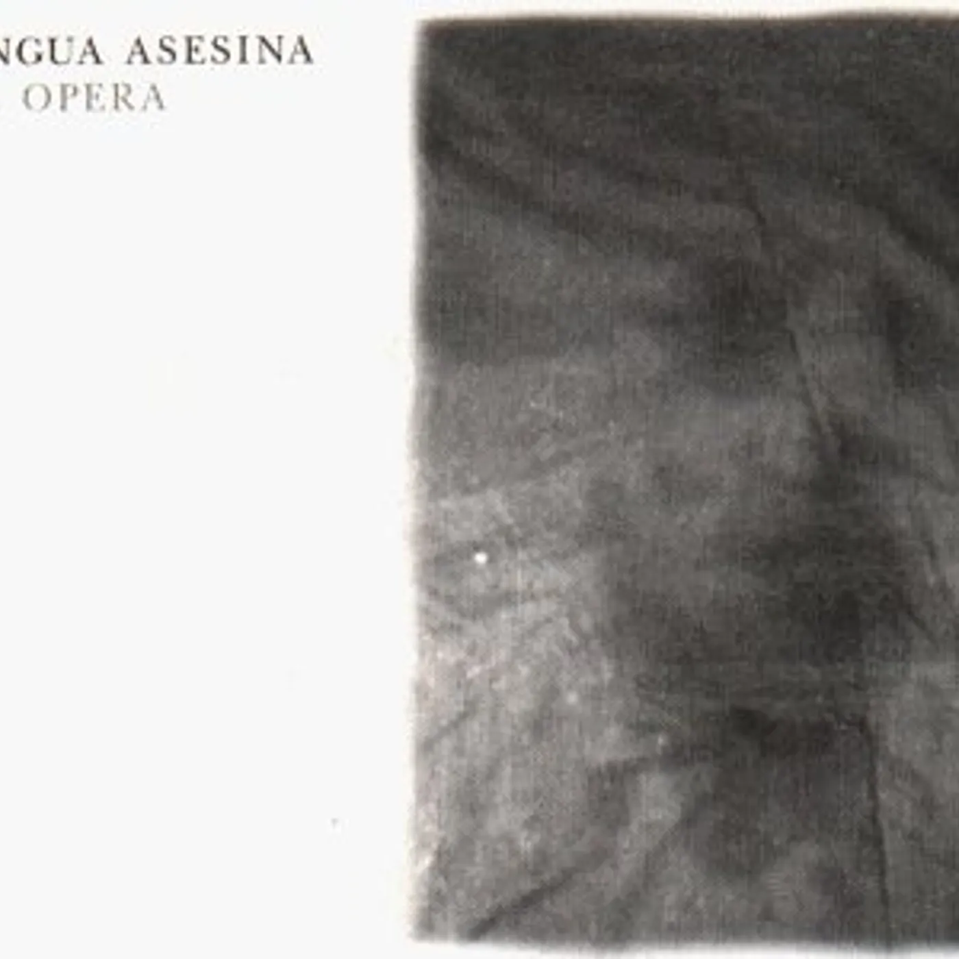 La Lengua Asesina HOTEL OPERA CD