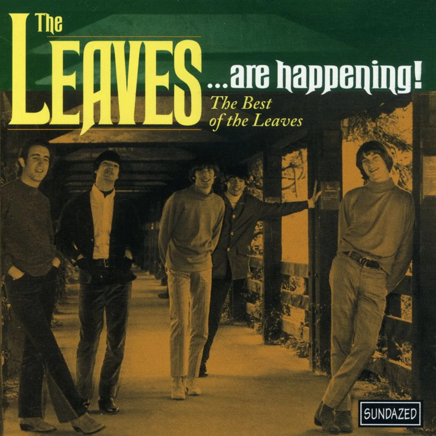 Leaves ARE HAPPENING: BEST OF CD