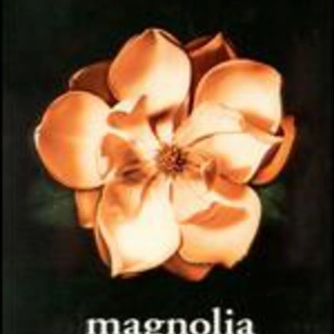 MAGNOLIA DVD