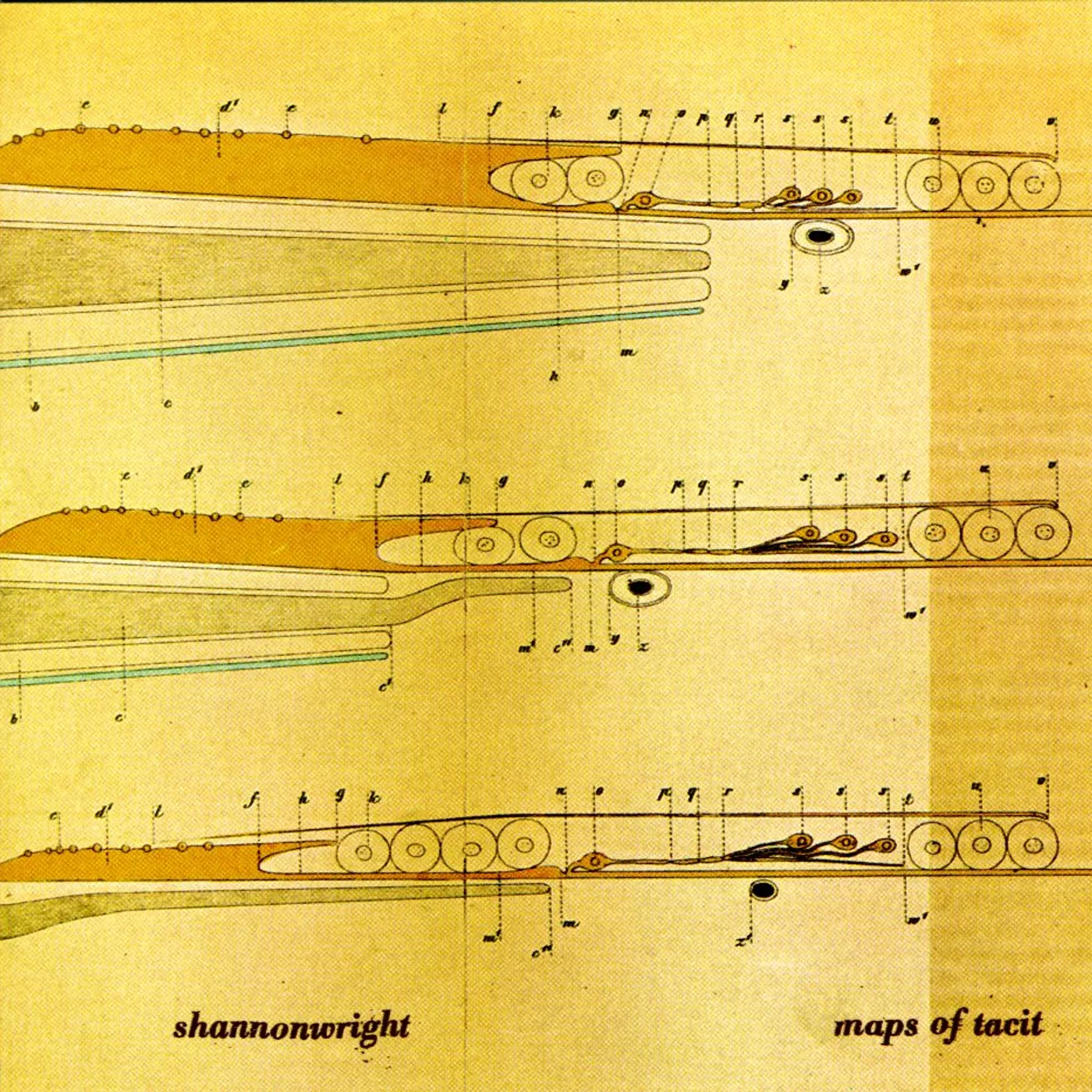 Shannon Wright MAPS OF TACIT CD