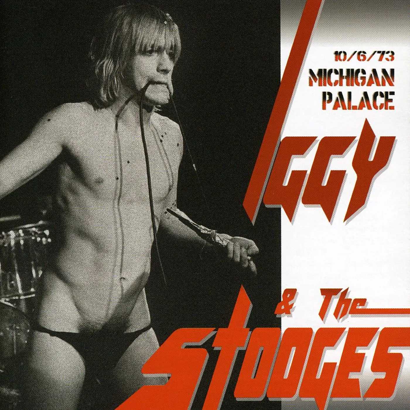 Iggy and the Stooges MICHIGAN PALACE CD