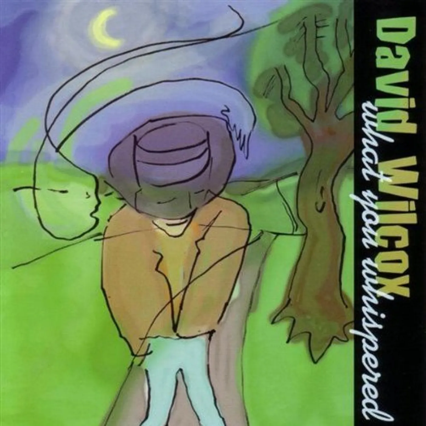 David Wilcox WHAT YOU WHISPERED CD
