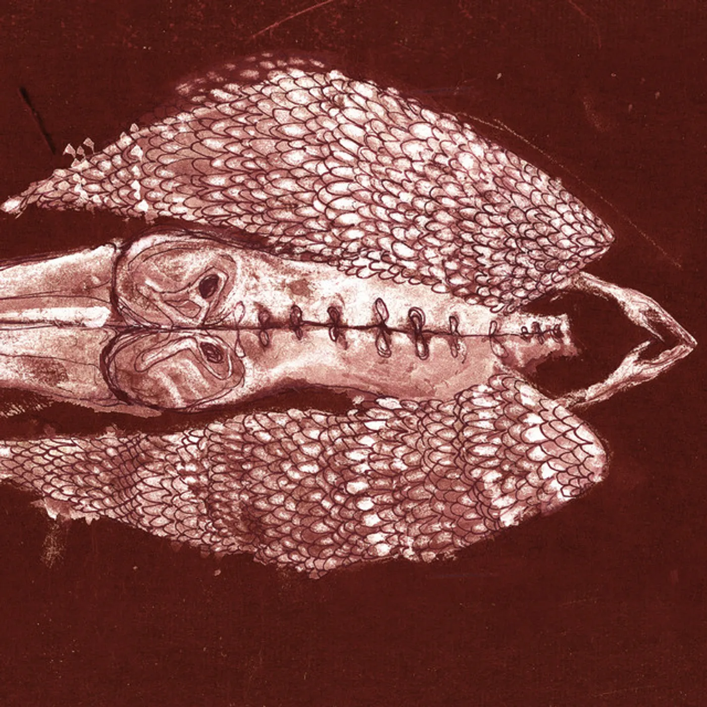 Cerberus Shoal HOMB CD