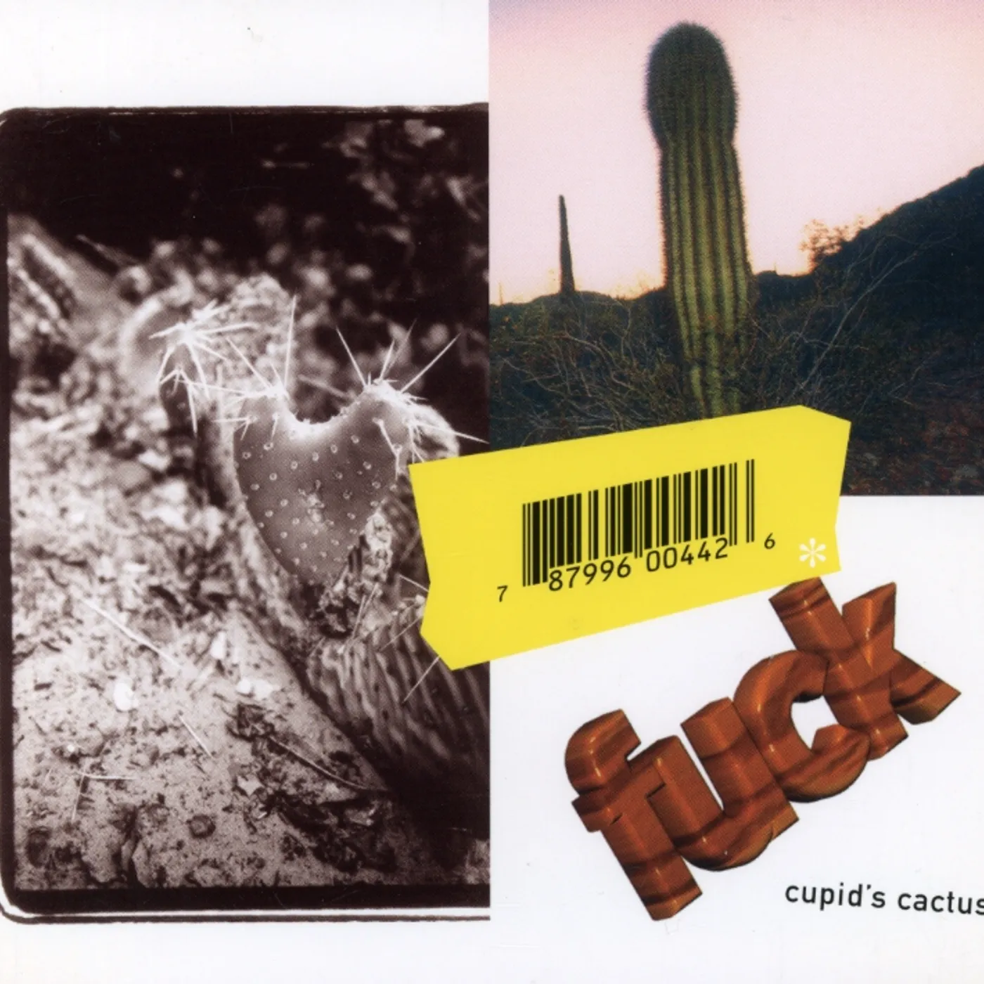 Fuck CUPID'S CACTUS CD