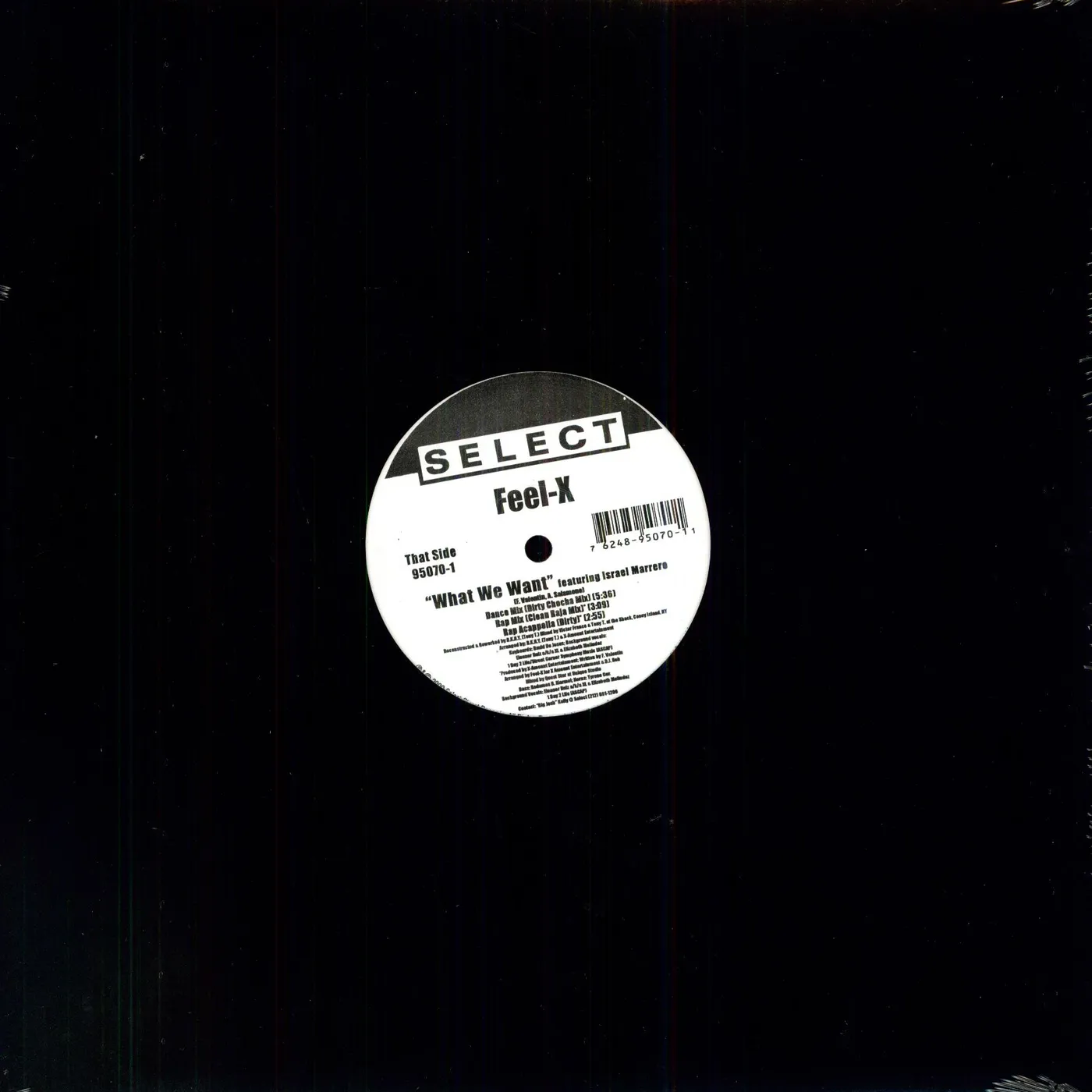Feel X WHAT WE WANT Vinyl Record