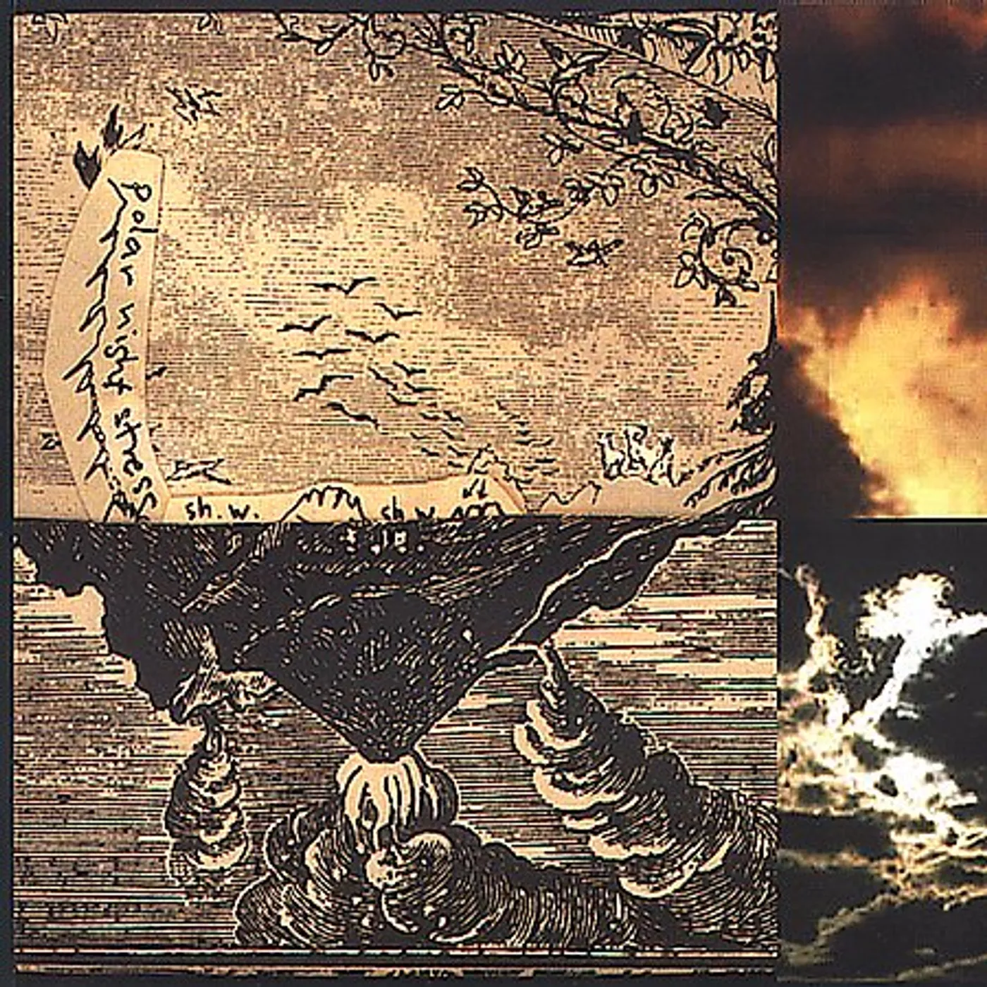 Polar Goldie Cats POLAR NIGHT STRESS CD
