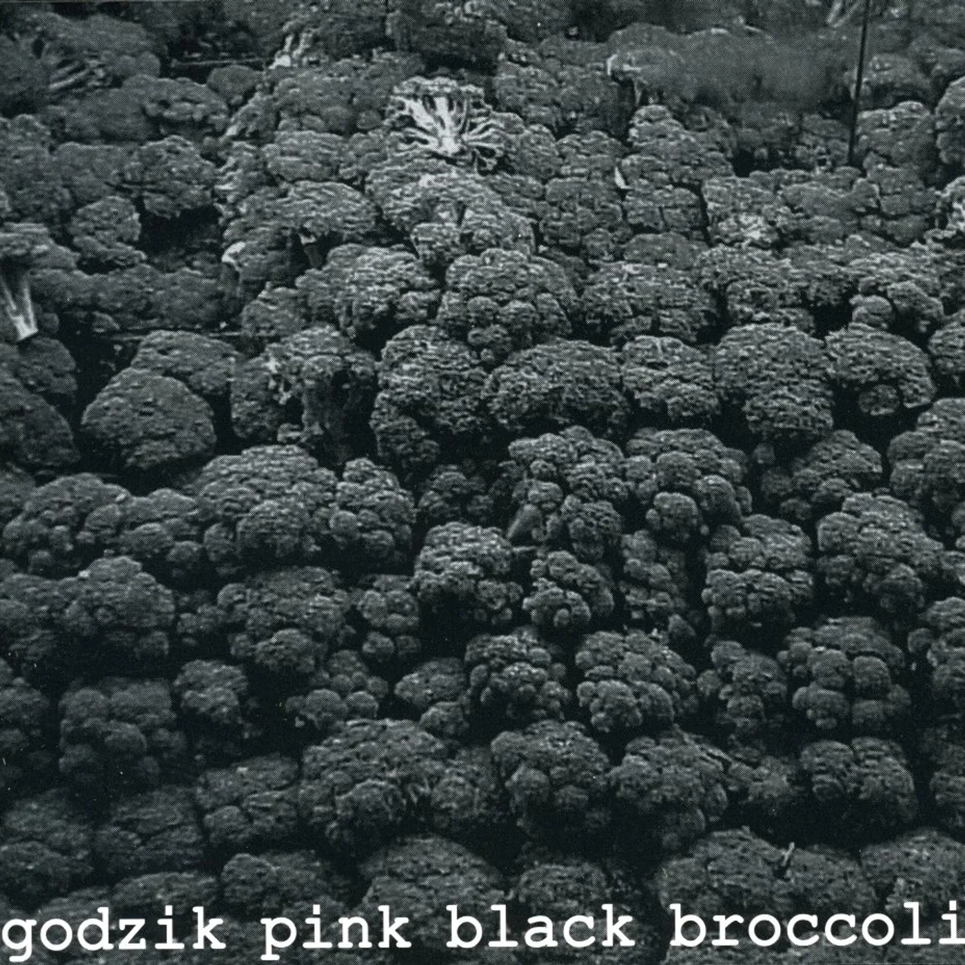 Godzik Pink BLACK BROCCOLI CD