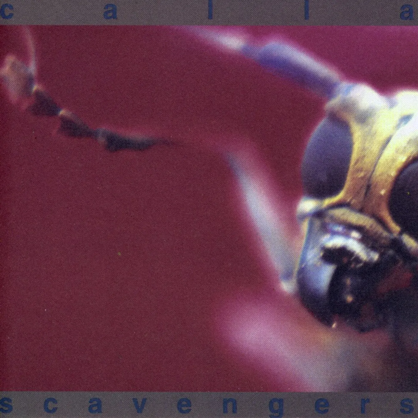 Calla SCAVENGERS CD