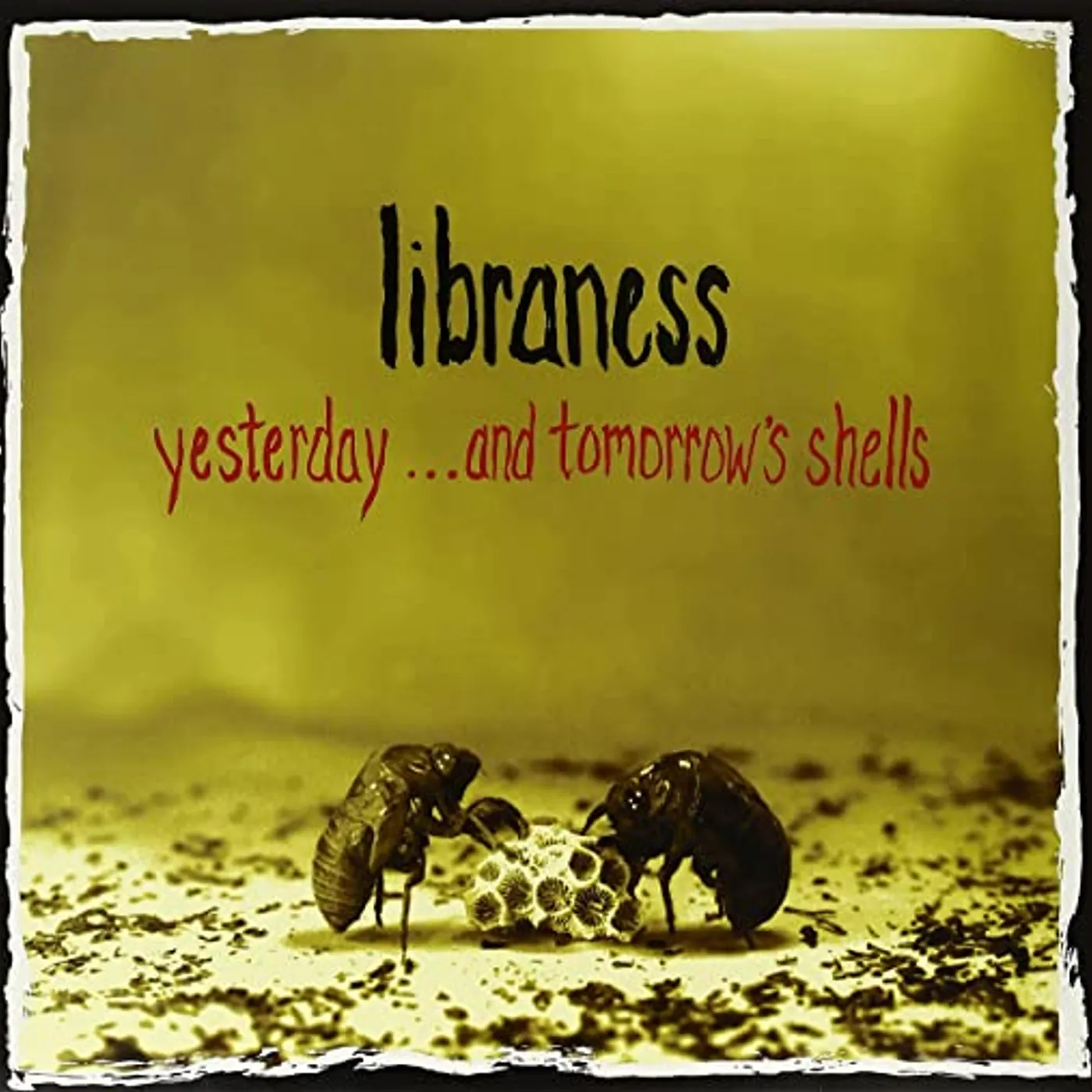 Libraness YESTERDAY & TOMORROW'S SHELLS Vinyl Record