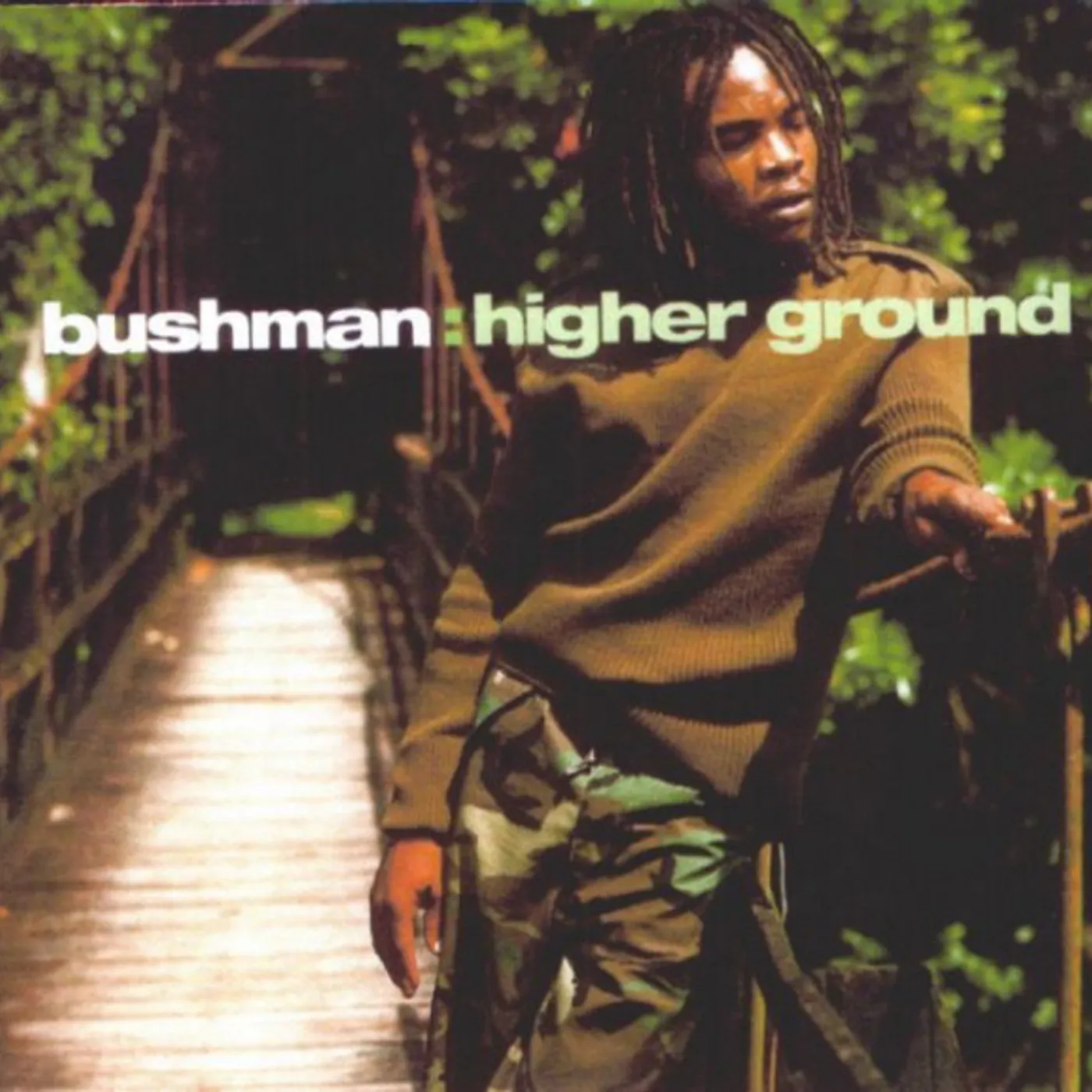 Bushman Higher Ground Vinyl Record
