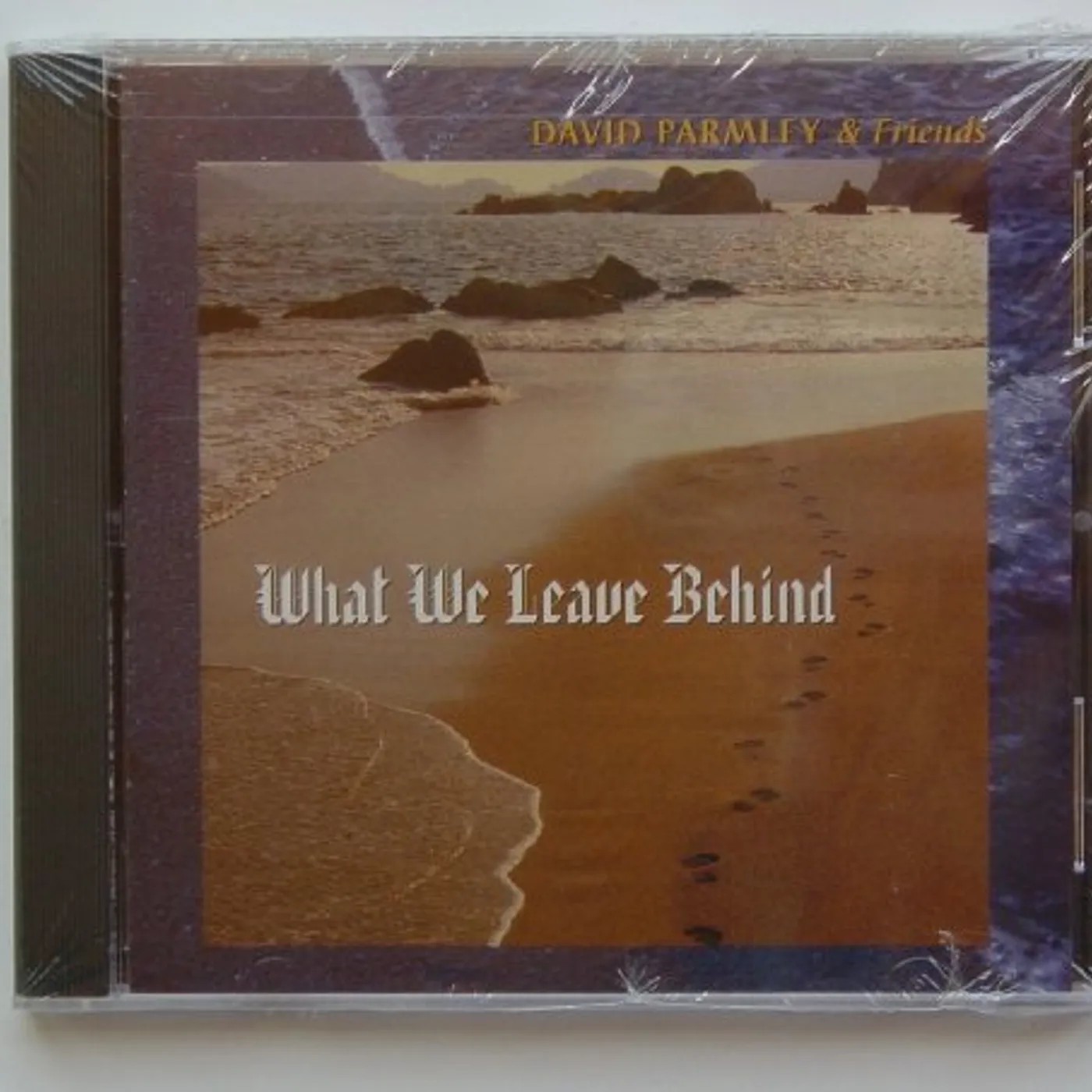 David Parmley WHAT WE LEAVE BEHIND CD