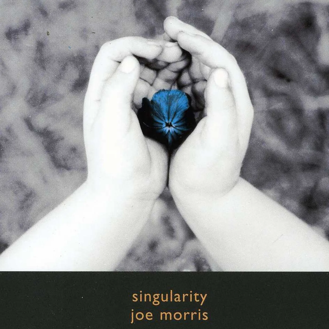 Joe Morris SINGULARITY CD