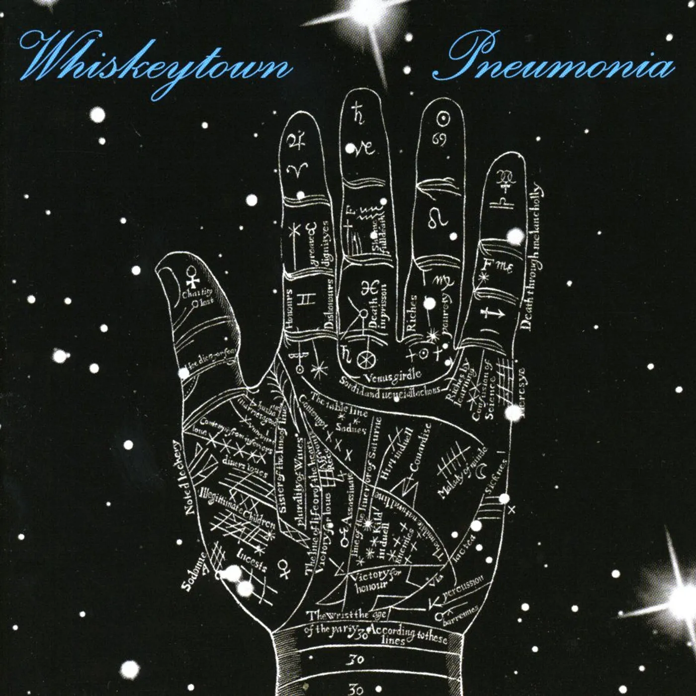 Whiskeytown PNEUMONIA CD