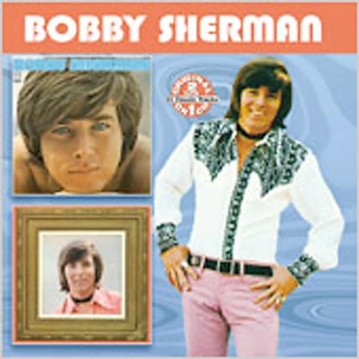 BOBBY SHERMAN / PORTRAIT OF BOBBY CD