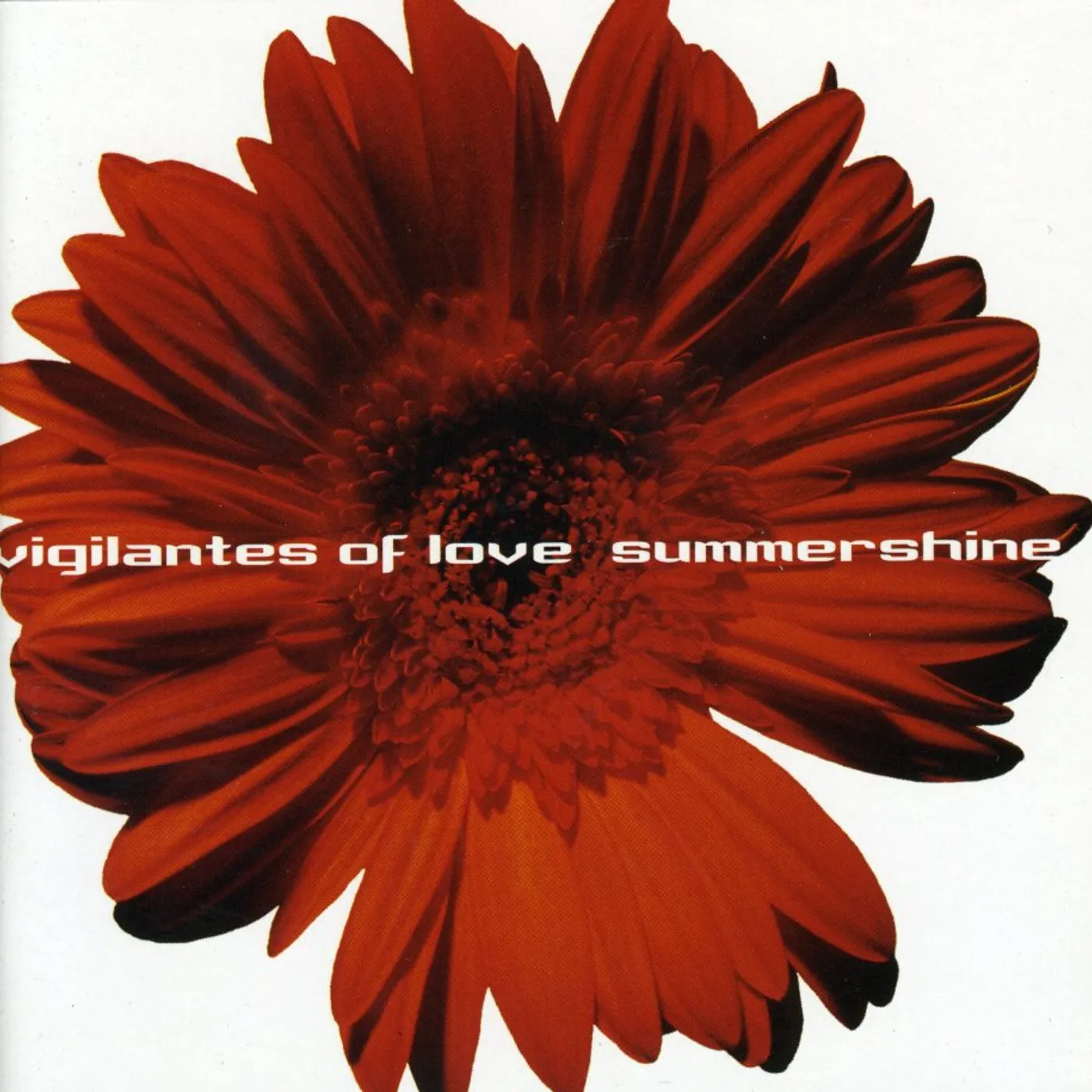 Vigilantes Of Love SUMMERSHINE CD