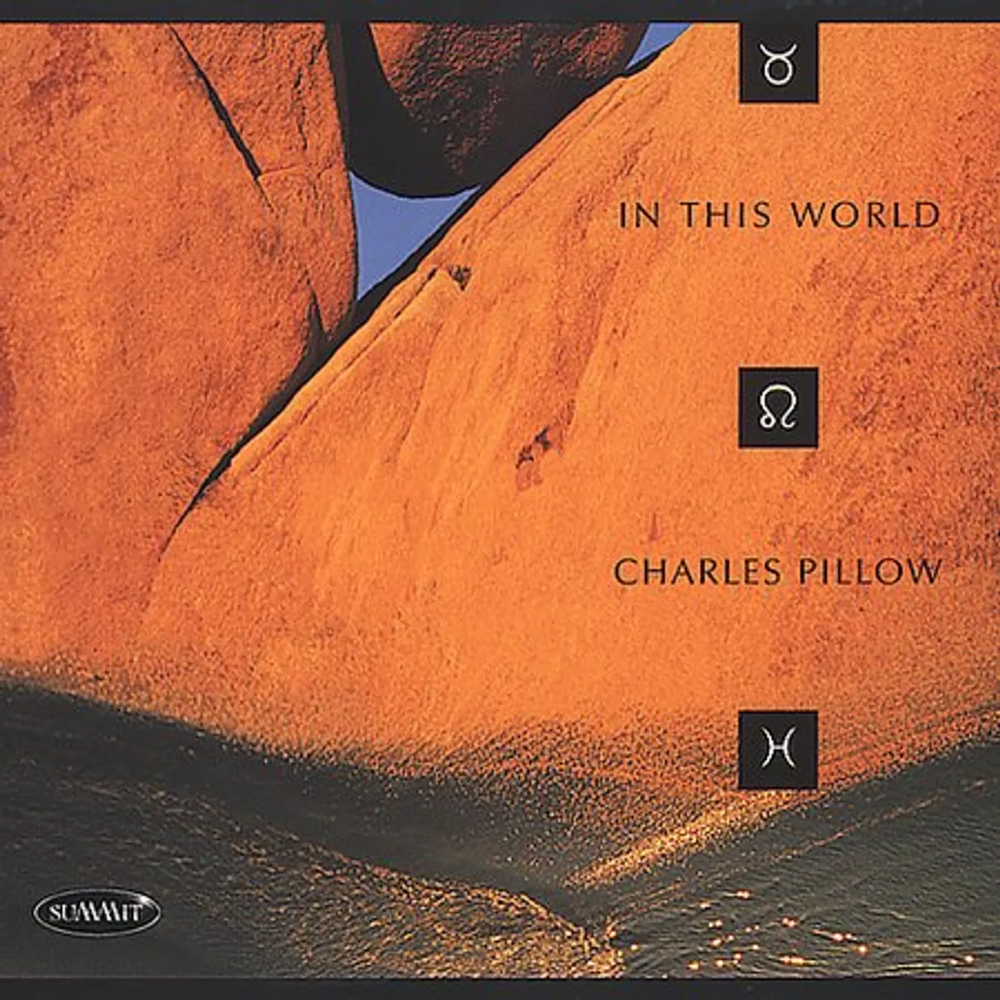 Charles Pillow IN THIS WORLD CD