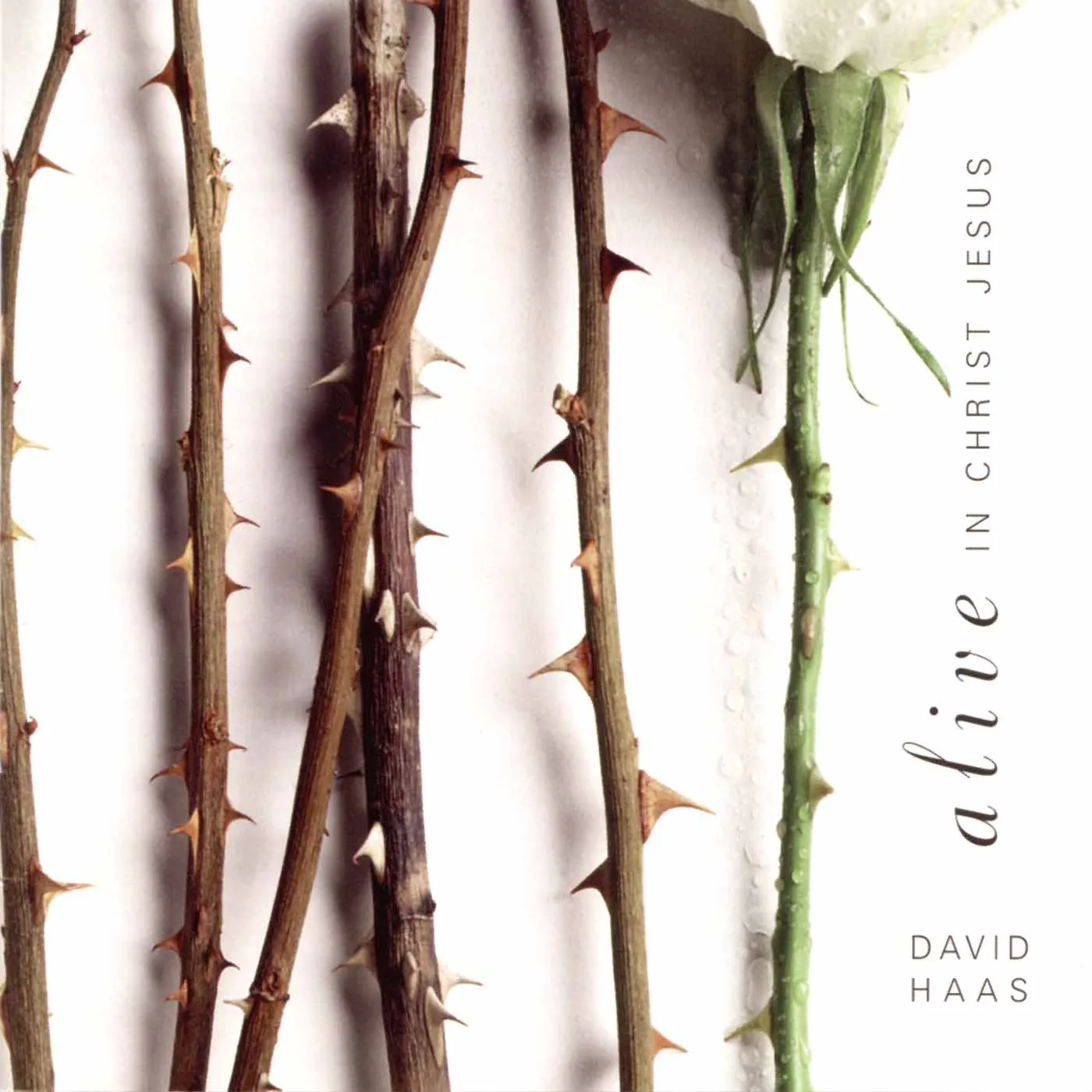 David Haas ALIVE IN CHRIST JESUS CD