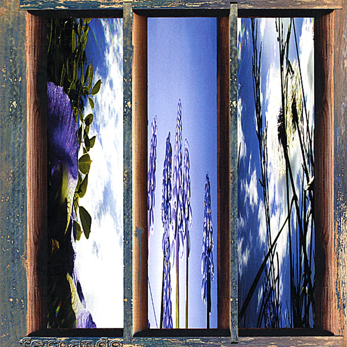 Fernando Viciconte DREAMS OF THE SUN & SKY CD