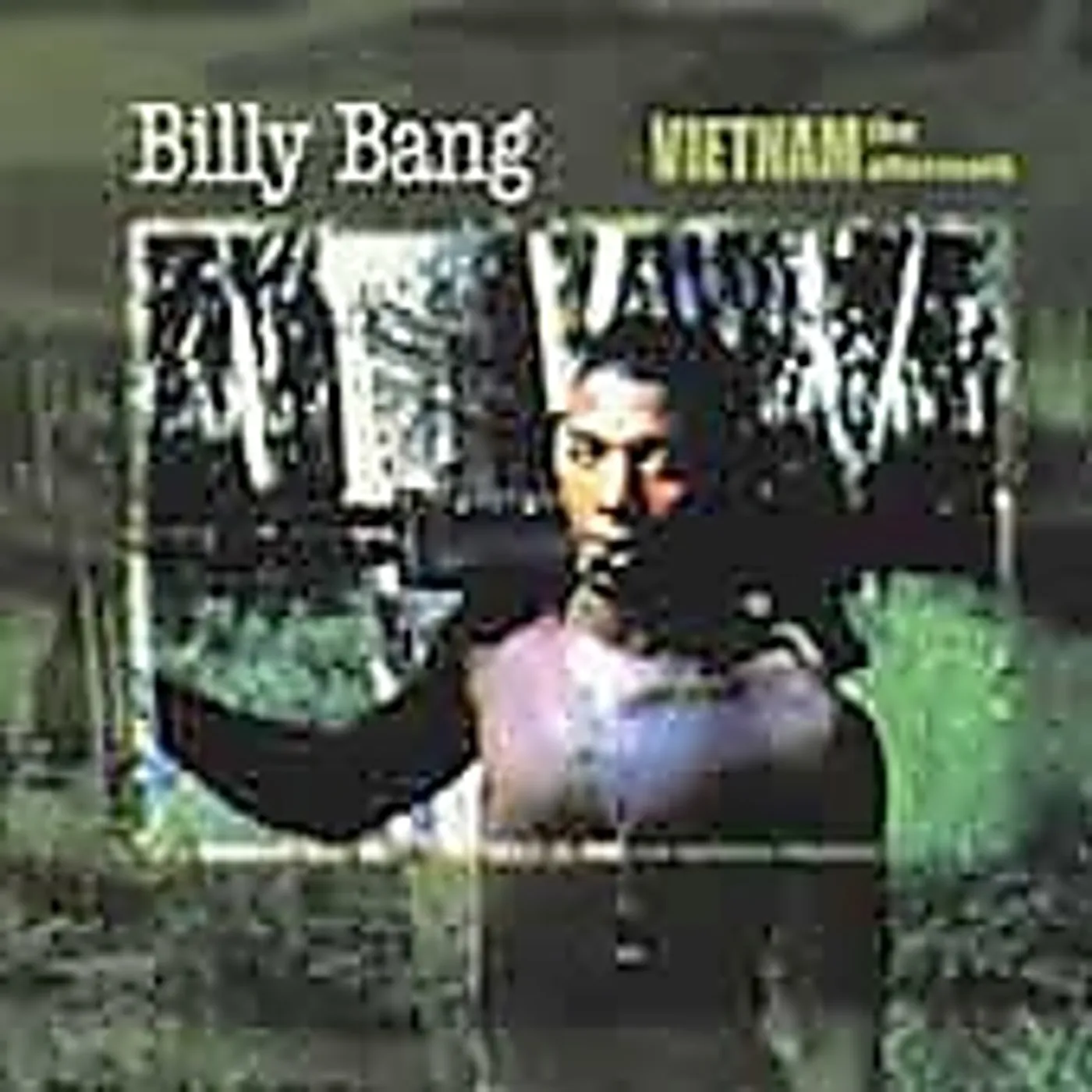 Billy Bang VIETNAM: THE AFTERMATH CD
