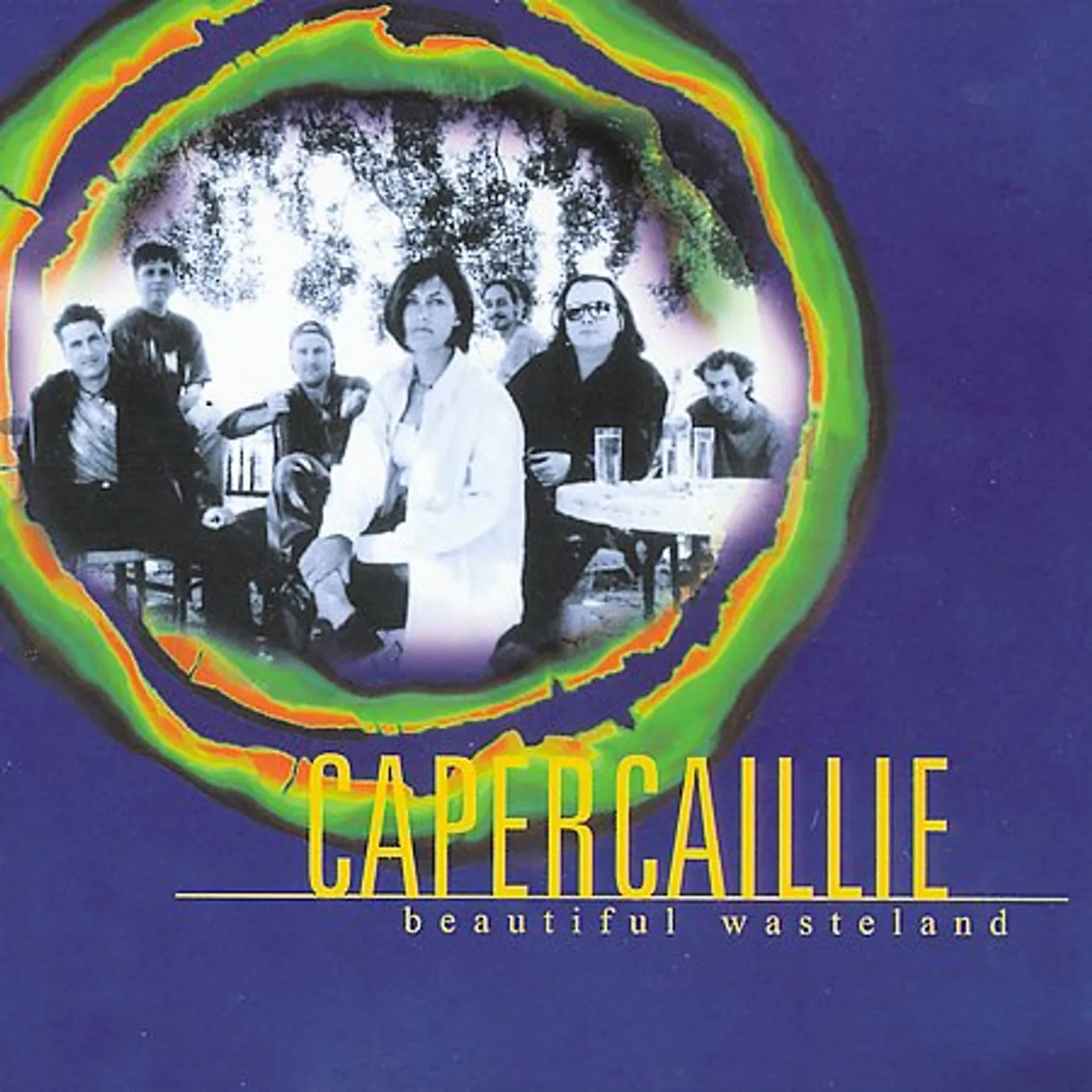 Capercaillie BEAUTIFUL WASTELAND CD