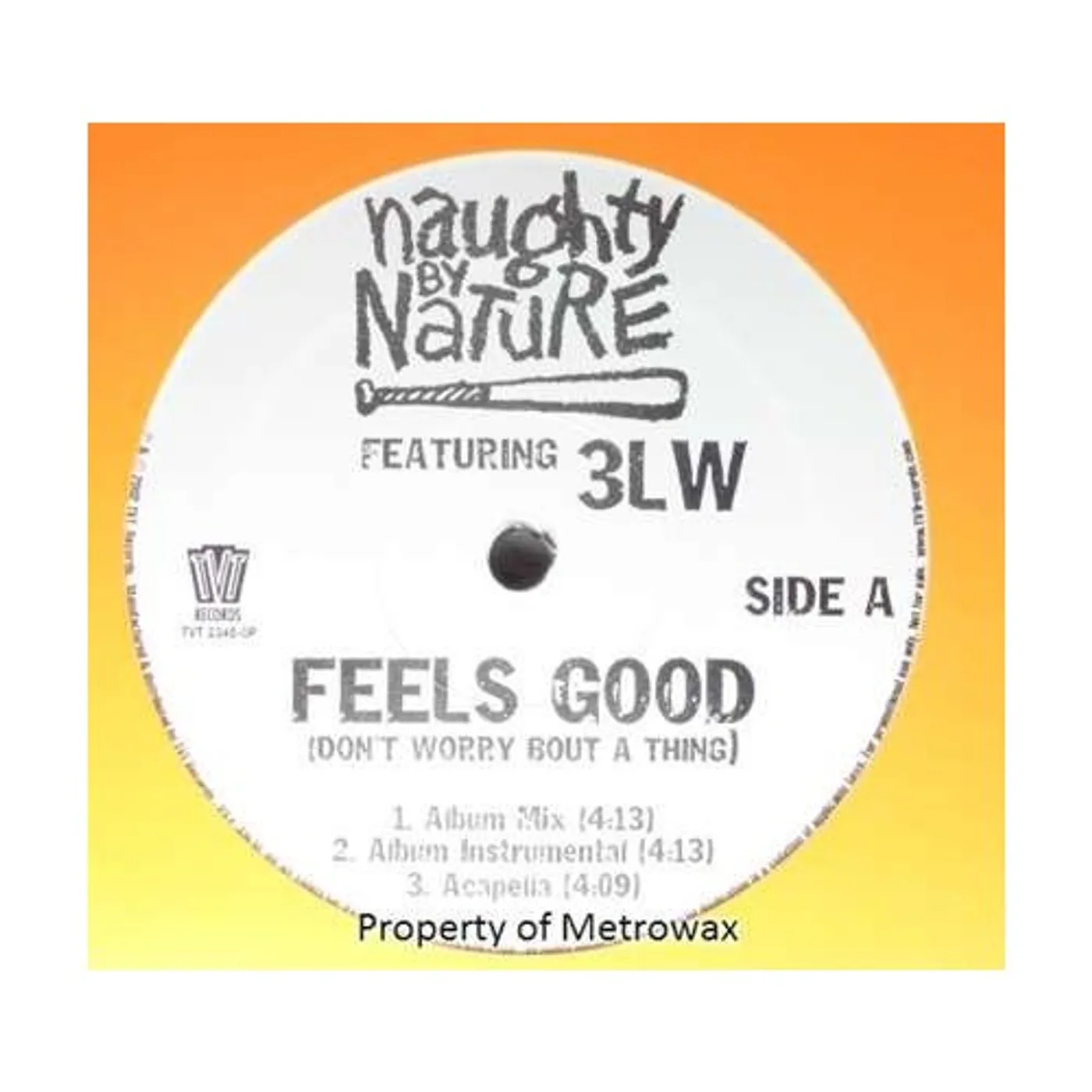 Naughty By Nature Feels good Vinyl Record