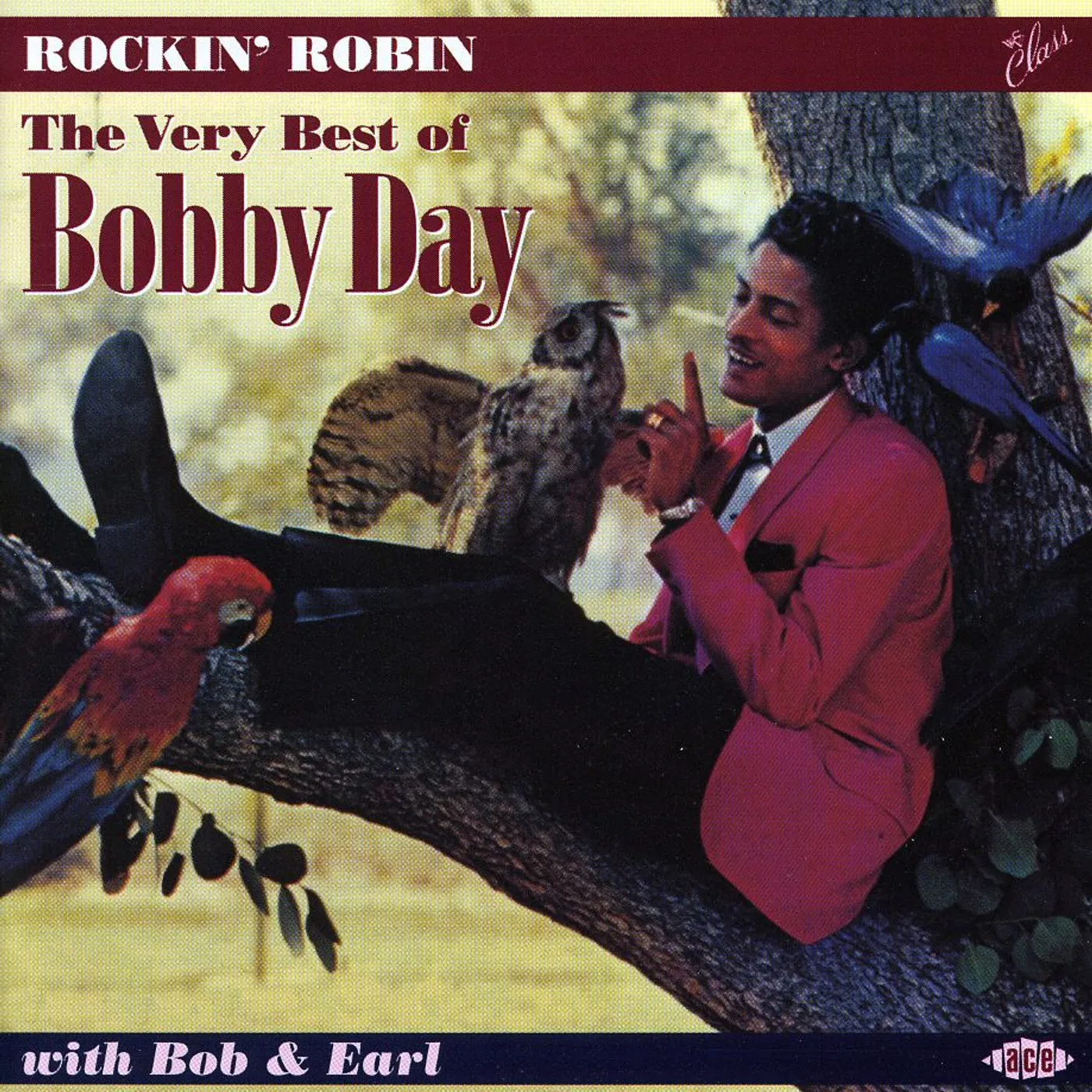 ROCKIN ROBIN: THE BEST OF BOBBY DAY CD